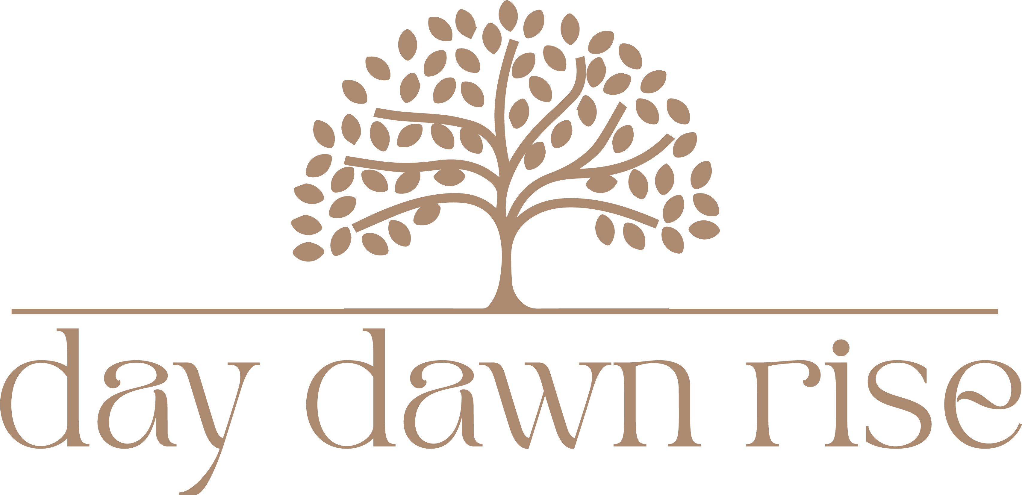 Day Dawn Rise